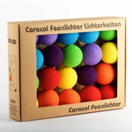 Feenlichter LED Lichterkette Bälle Regenbogen 20L Verpackung